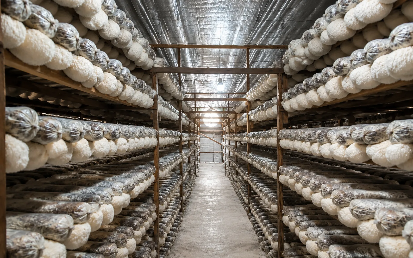 Quality control laboratory