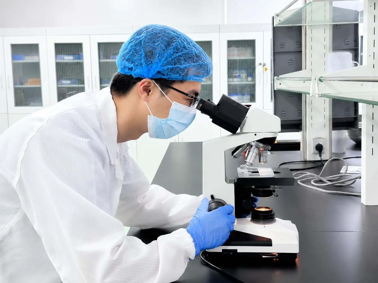 Testing and quality review