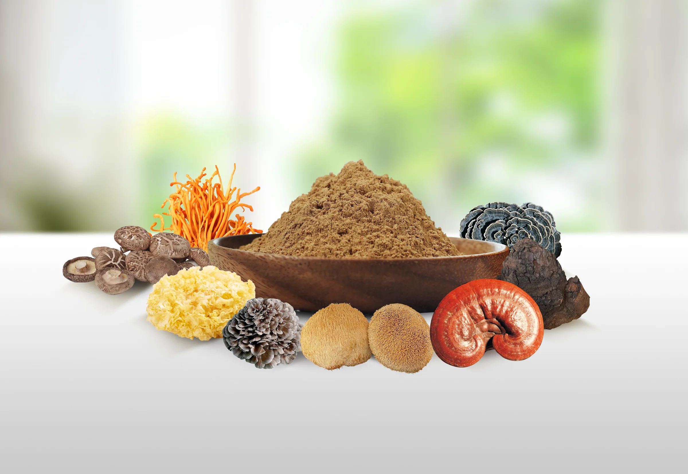 Mushroom extraction and processing
